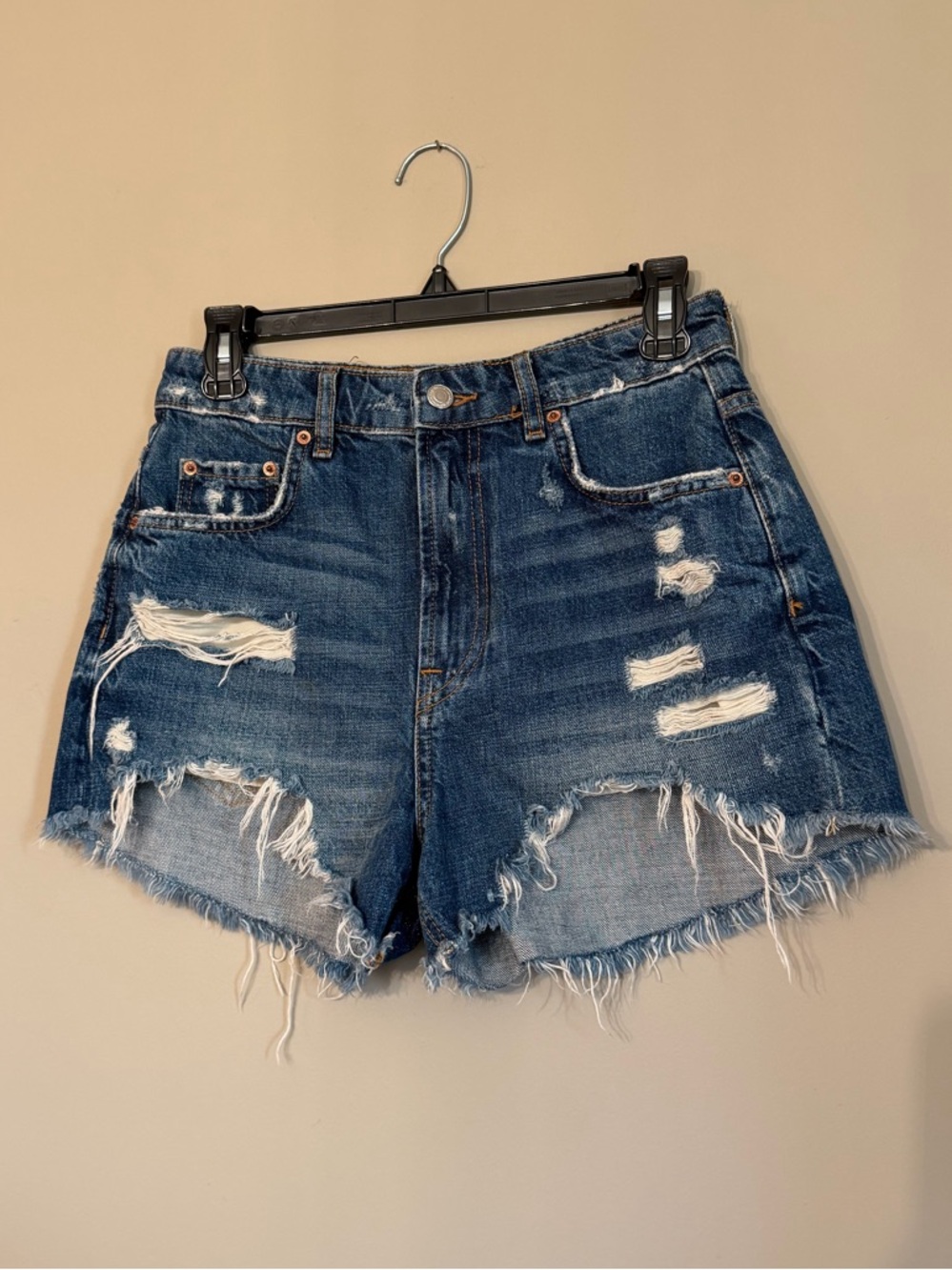 Distressed Zara Shorts